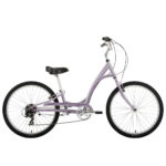 Purple_Rain_Los_Angeles_Rental