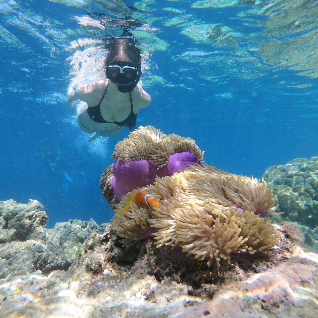 Snorkeling Hawaii unsplash