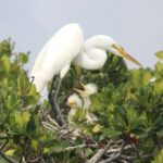 Everglades National Park Expedition | Everglades National Park
