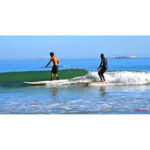 Full Week Paddling Rental | West Palm Beach, Florida booking