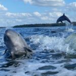 Everglades National Park Expedition | Everglades National Park