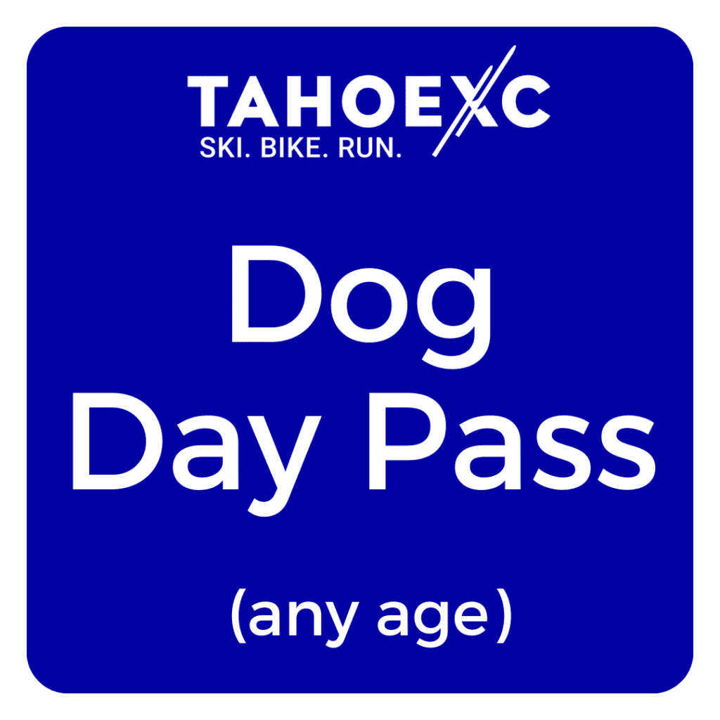 dog-day-pass-any-age-ruff-gearo